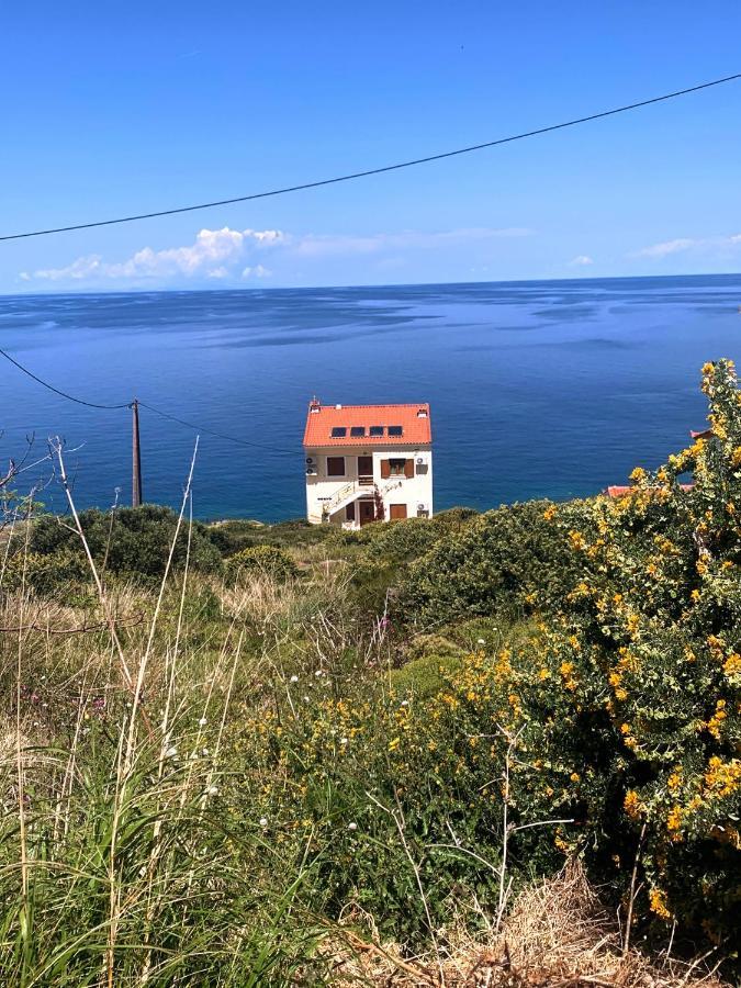Κοχυλι 2 Με Υπεροχη Θεα Στο Αιγαιο Πελαγος! Leilighet Armenistis  Eksteriør bilde